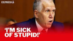 tillis stupid